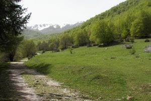 Parco_Nazionale_d'Abruzzo,_Lazio_e_Molise_-_panoramio_(6)