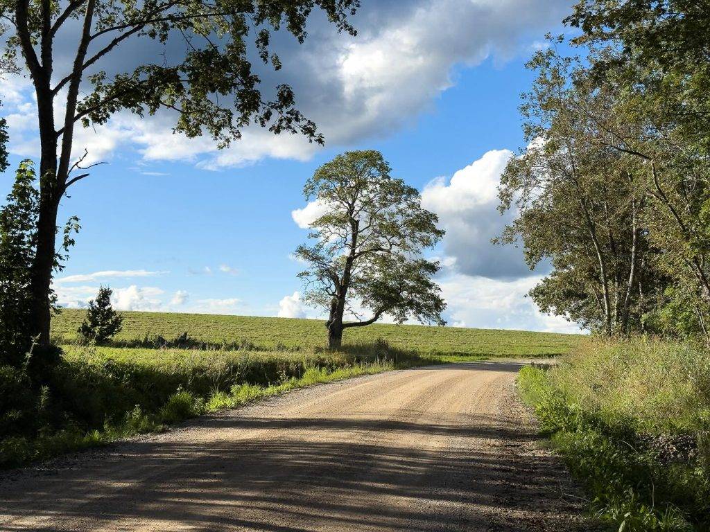 TRM course_1_Adam Illingworth