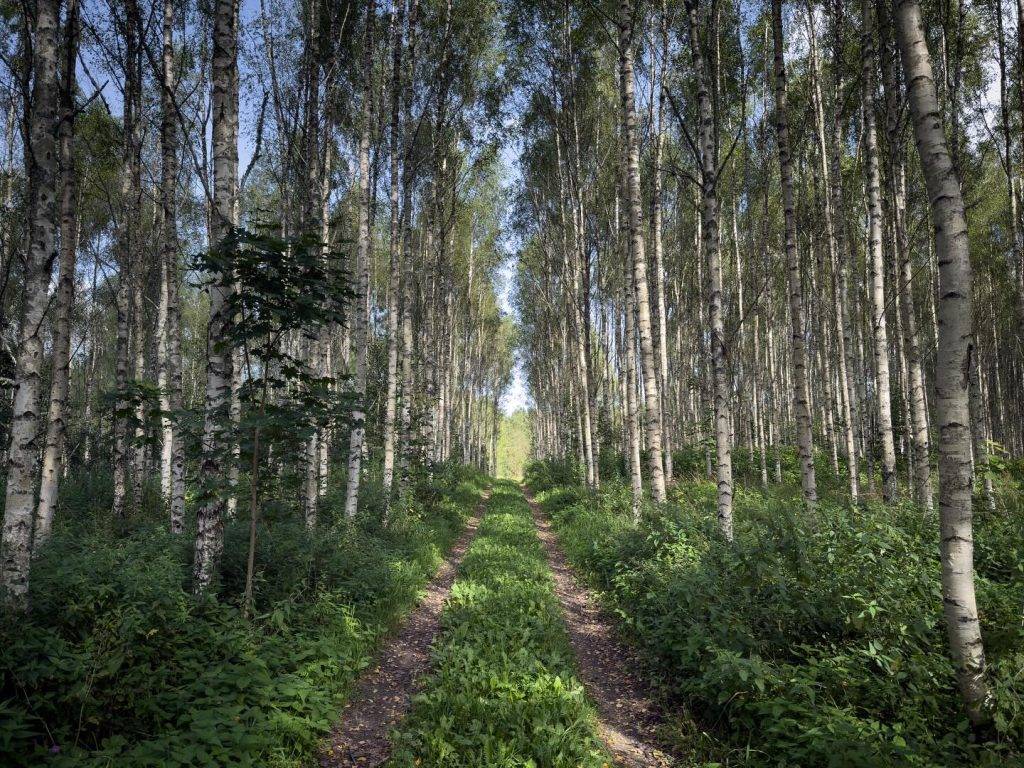 TRM course_2_Adam Illingworth