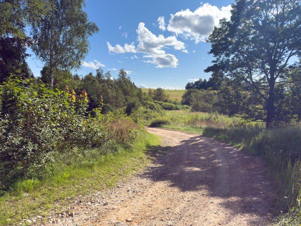 TRM course_5_Adam Illingworth