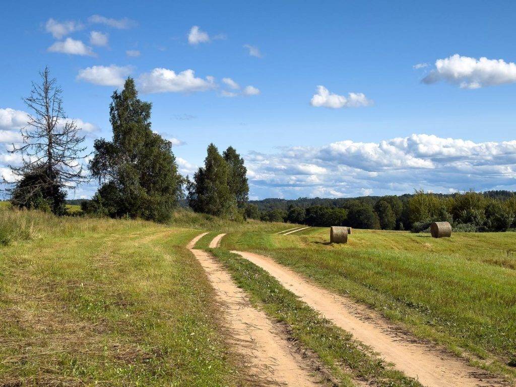 TRM course_6_Adam Illingworth