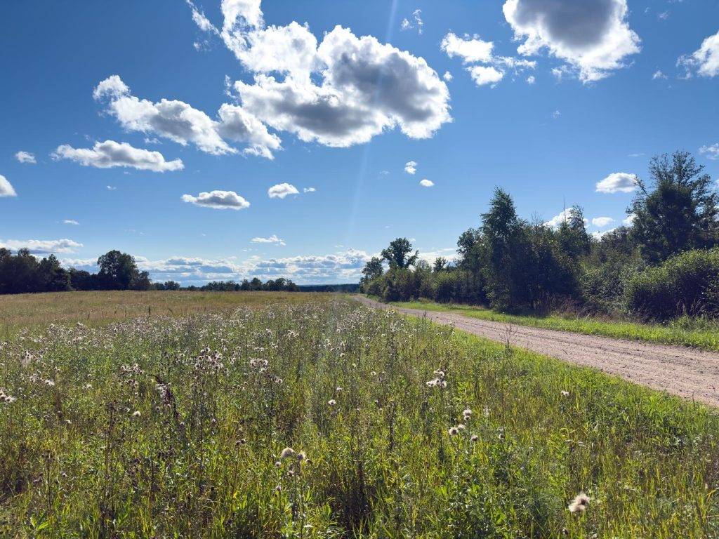 TRM course_7_Adam Illingworth