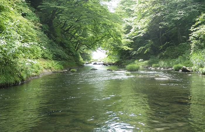 Urushizawatsutsusago,_Kami,_Kami_District,_Miyagi_Prefecture_981-4368,_Japan_-_panoramio