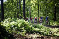 rolling through Haller Bos (Haller Forest) at the 3rd UCI Gravel World Championships 2024 - Flanders (BEL)©kramon