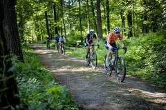 rolling through Haller Bos (Haller Forest) at the 3rd UCI Gravel World Championships 2024 - Flanders (BEL)©kramon