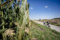 rolling over the gravel roads of Flanders at the 3rd UCI Gravel World Championships 2024 - Flanders (BEL)©kramon
